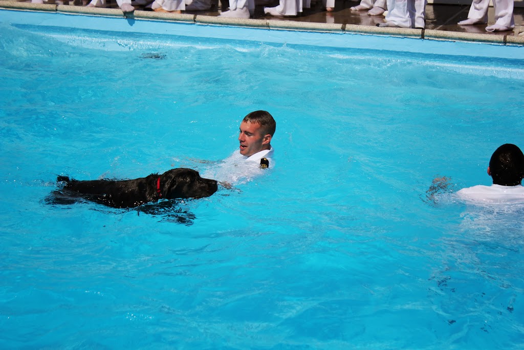 Dog and uniformed Midshipman swim in Eldridge Pool