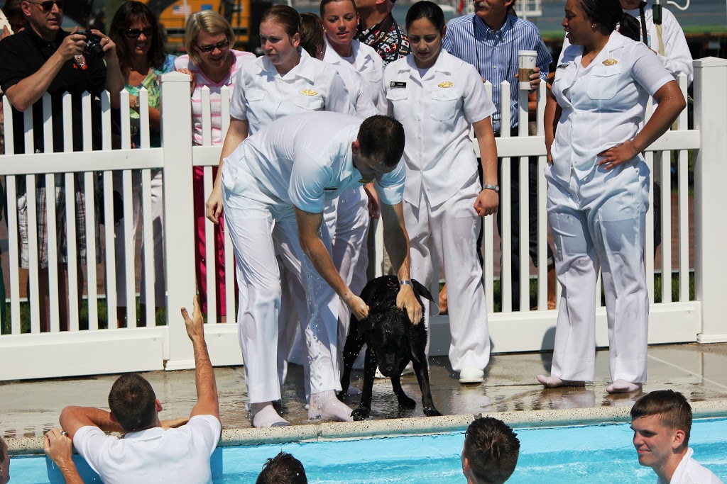 Dog prepares to join Midshipmen in the pool