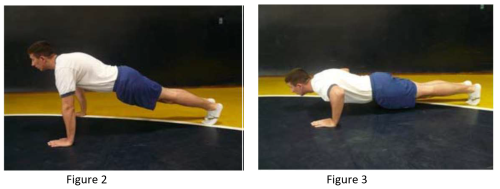 Correct Push Ups
