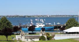 Waterfront with sailboats in view