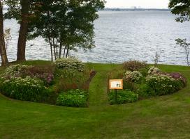 Pollinator Garden 